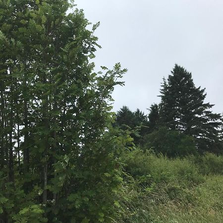 דירות Ballaghaderreen Pat'S Place מראה חיצוני תמונה