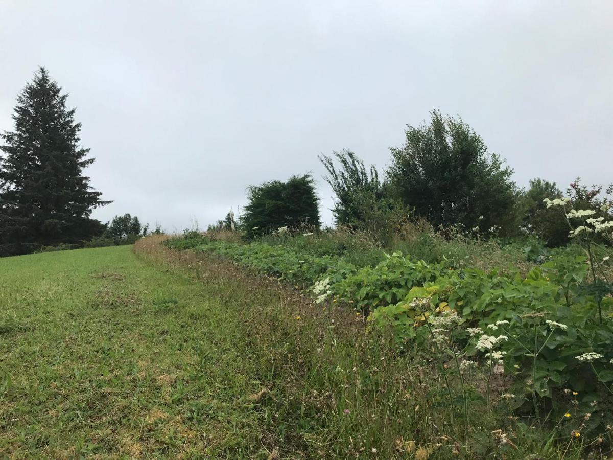 דירות Ballaghaderreen Pat'S Place מראה חיצוני תמונה