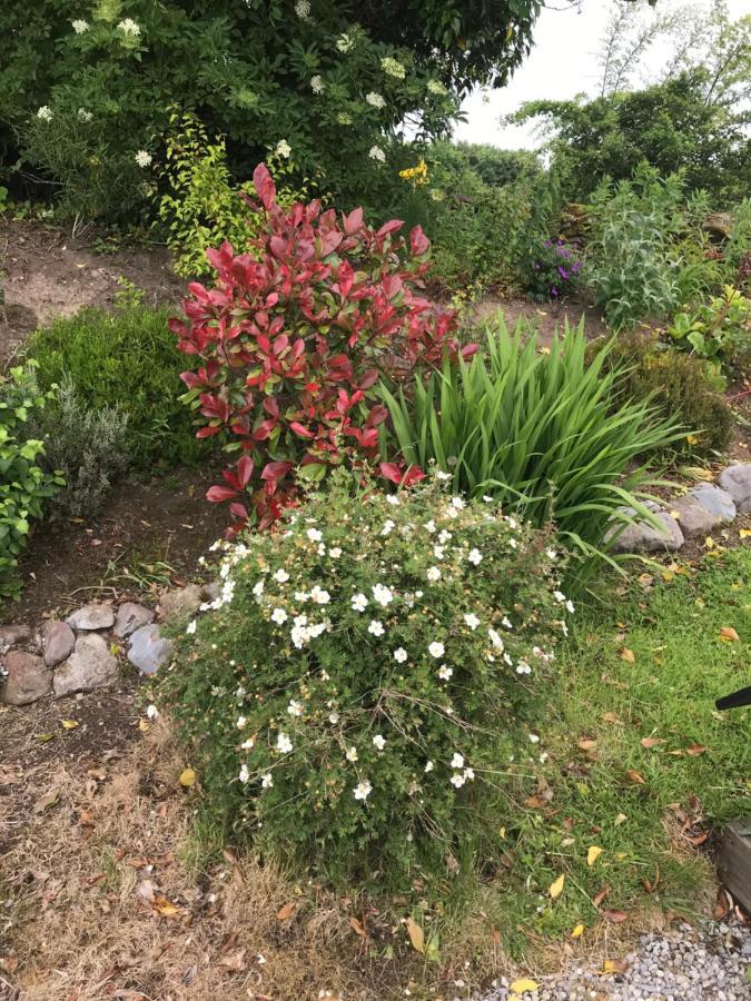 דירות Ballaghaderreen Pat'S Place מראה חיצוני תמונה